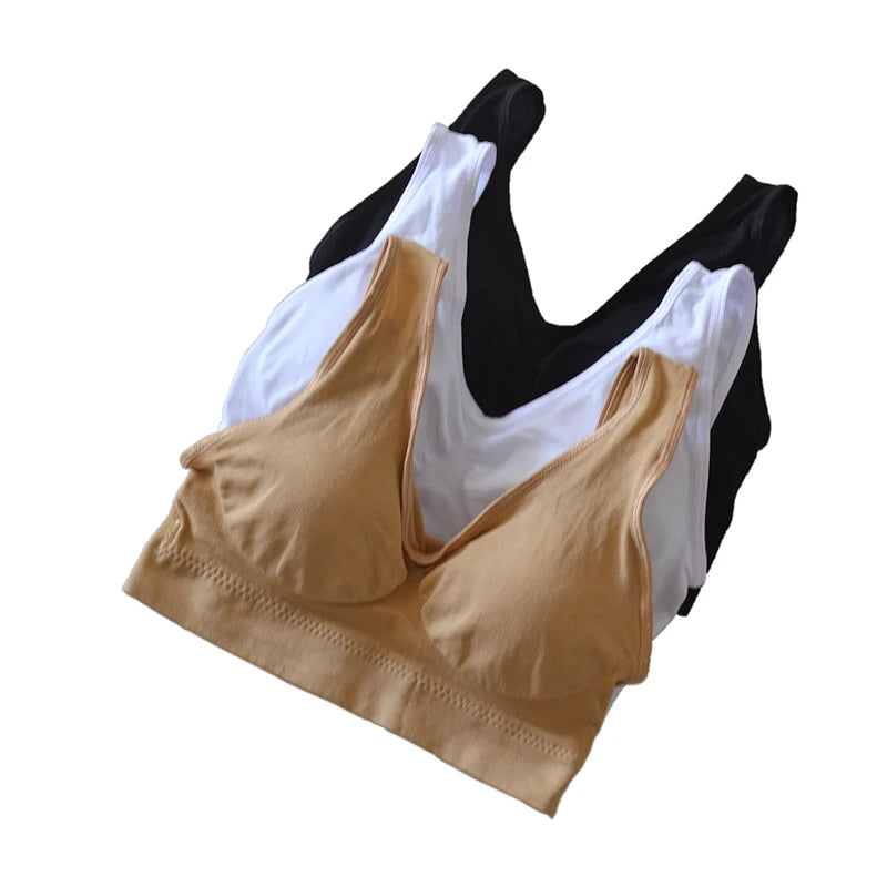 Padded Push Up Sports Bra