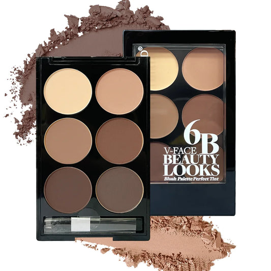 6-Color Contour & Highlight Palette with Brush